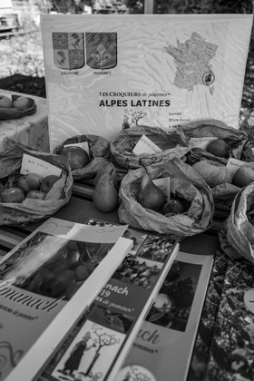 05 novembre 2022 : des pommes et des soupes