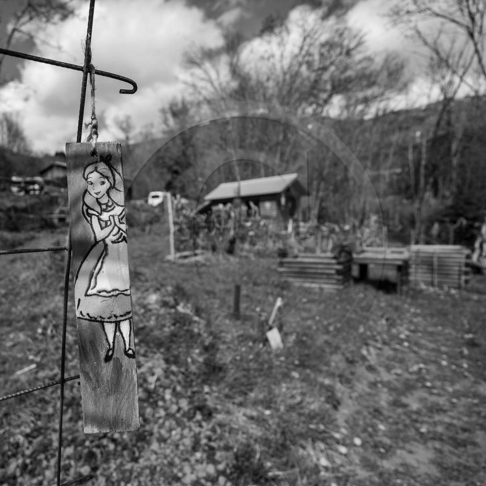 14 avril 2021 : collages, taille, jardinage