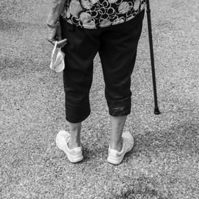 Promenades au jardin