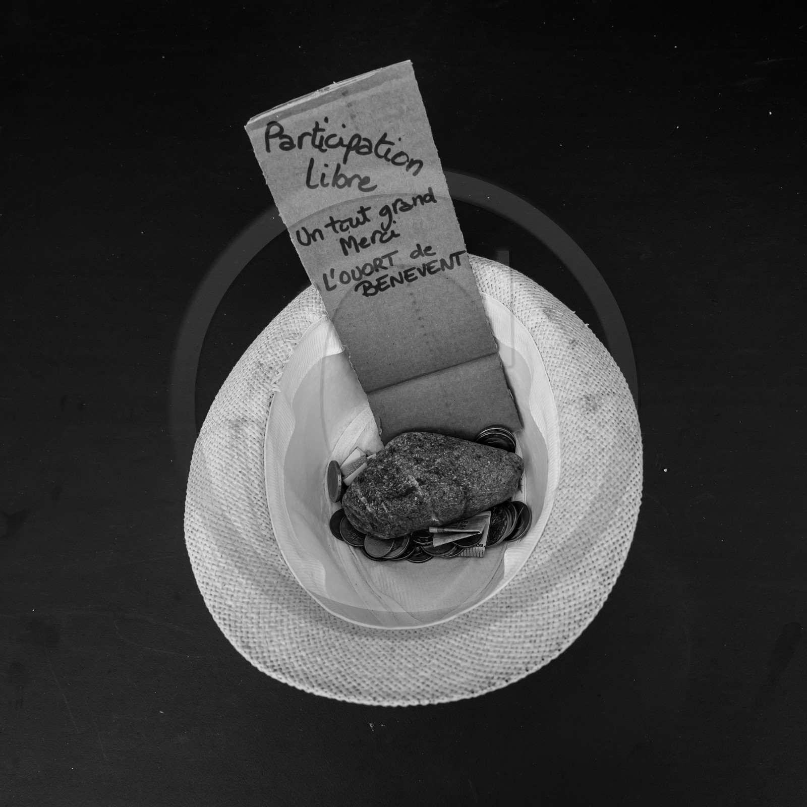 07 août 2017 - Sieste Musicale 07 août 2017 - Sieste Musicale