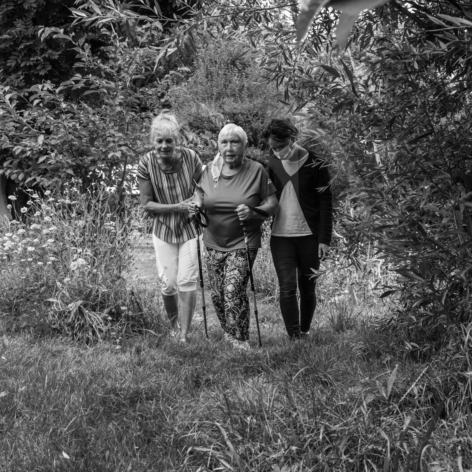 Promenades au jardin Promenades au jardin