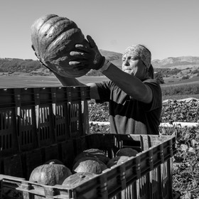 dlebioda-03102016-L1173999.jpg