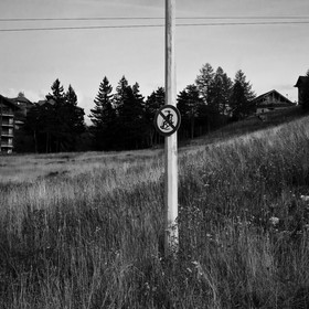 En attendant la neige