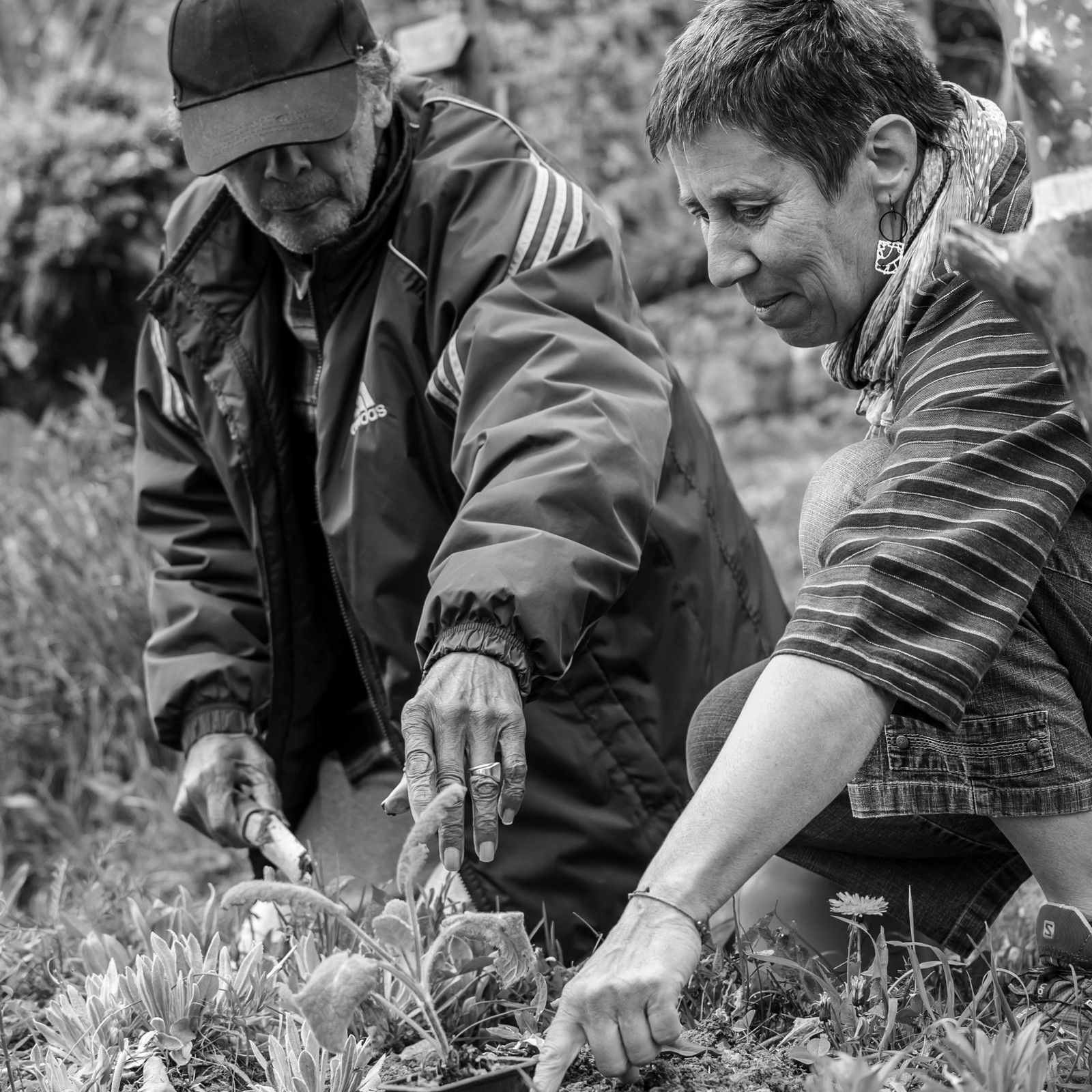 23 avril 2025 : Des oiseaux et des plantes