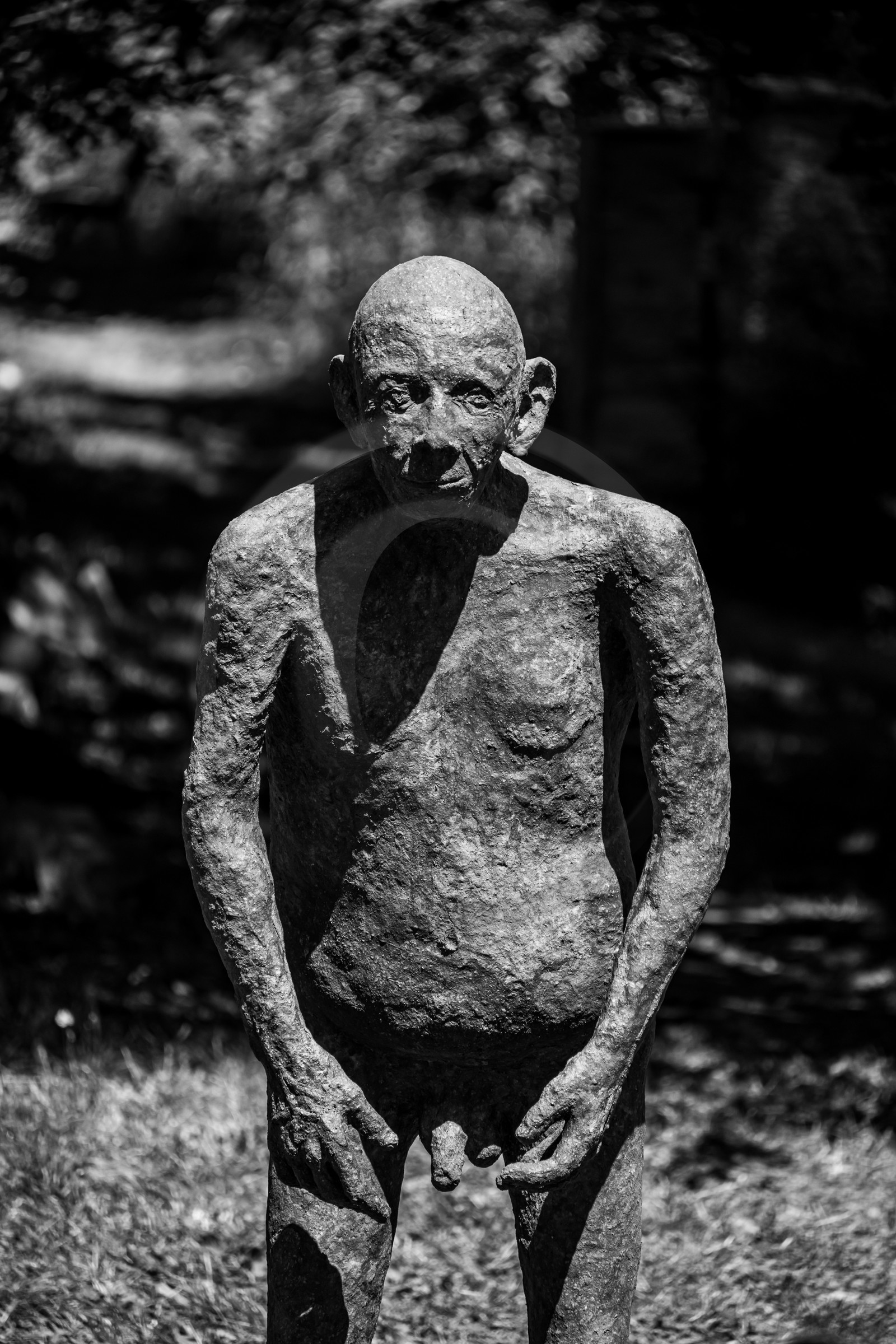 21 aout 2024 : Réalisation de Marcel Joli Coeur, l'homme de l'Ouort avec Barbara Fougnon, artiste plasticienne, et un anniversaire en chansons. 21 aout 2024 : Réalisation de Marcel Joli Coeur, l'homme de l'Ouort avec Barbara Fougnon, artiste plasticienne, et un anniversaire en chansons.