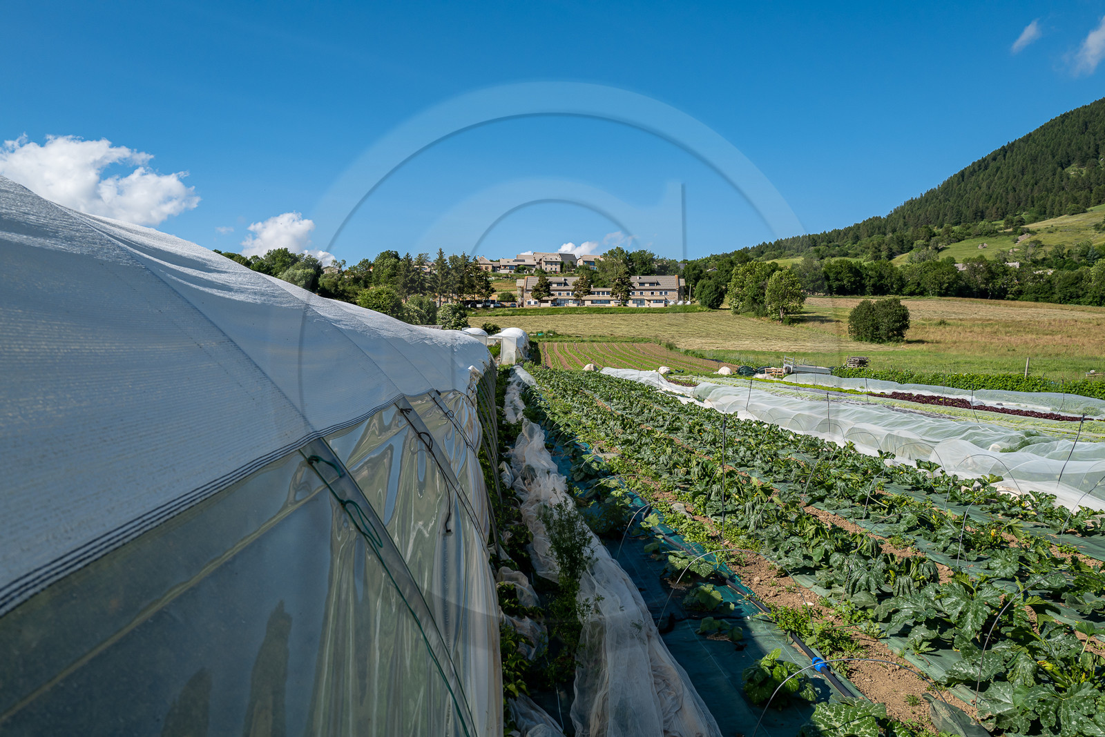 Légumontagne : maraichage biologique à Ancelle