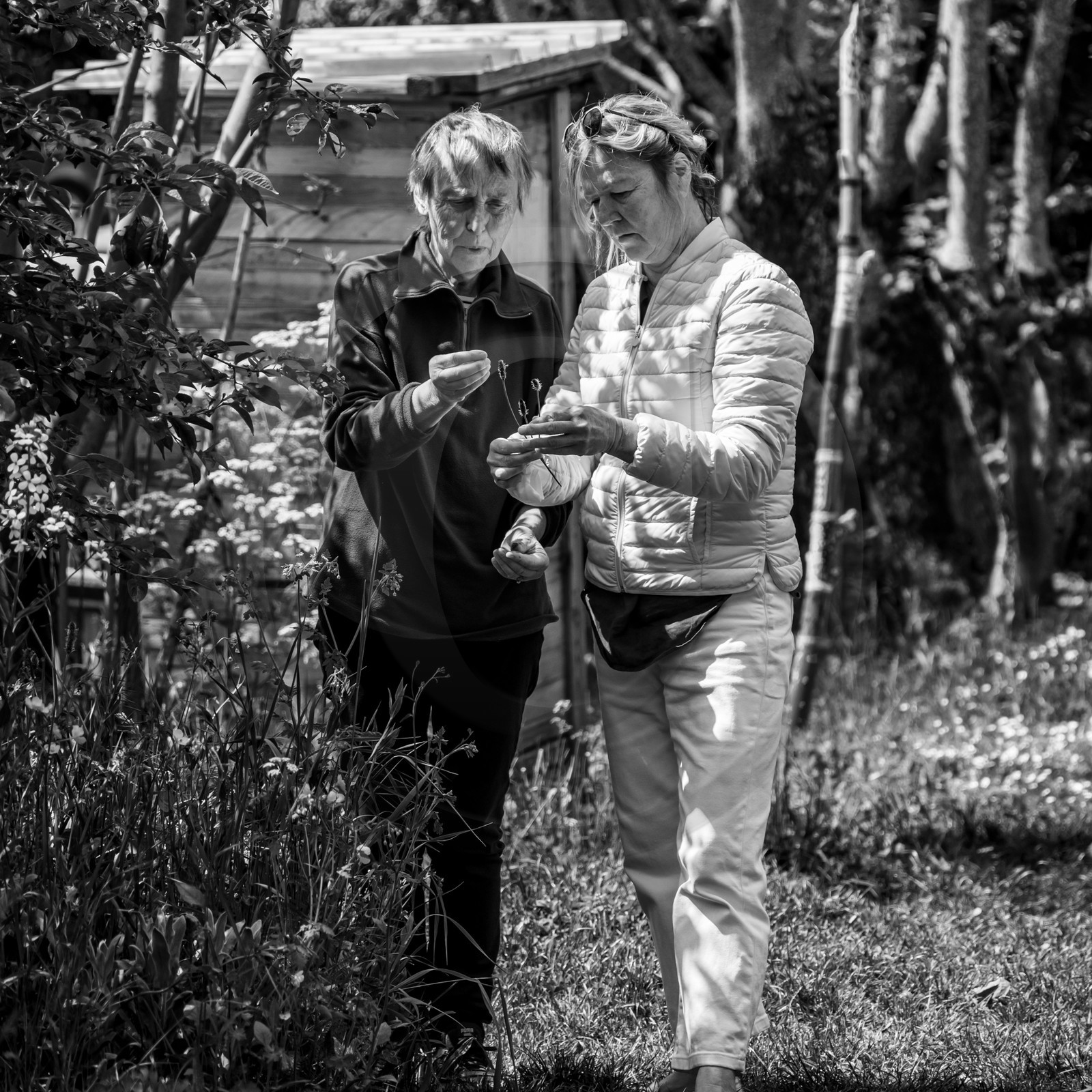 24 mai 2024 : Journée des aidants à l'Ouort 24 mai 2024 : Journée des aidants à l'Ouort