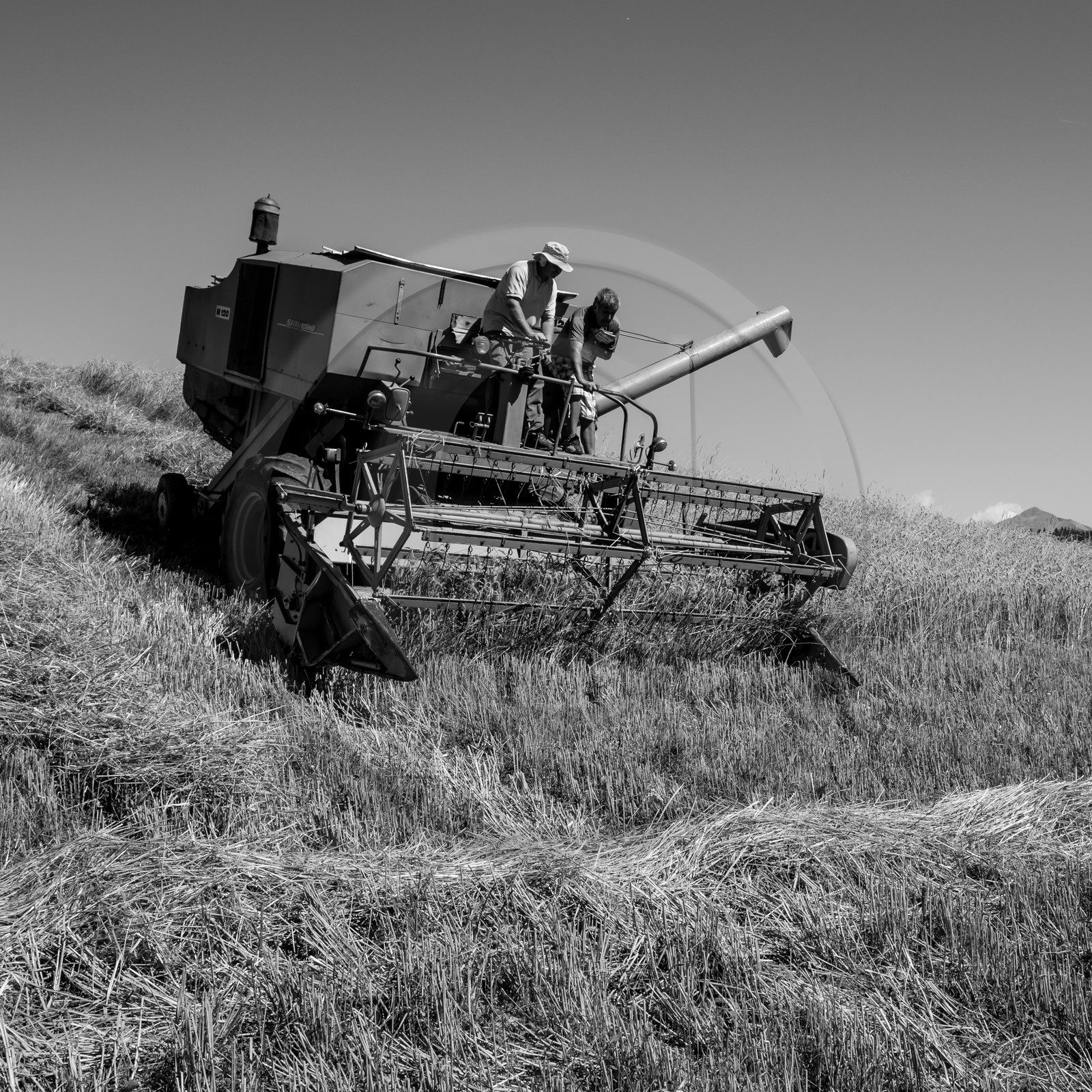 Les moissons dans le Champsaur