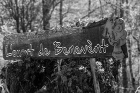 25 avril 2025 : Journée des Aidants