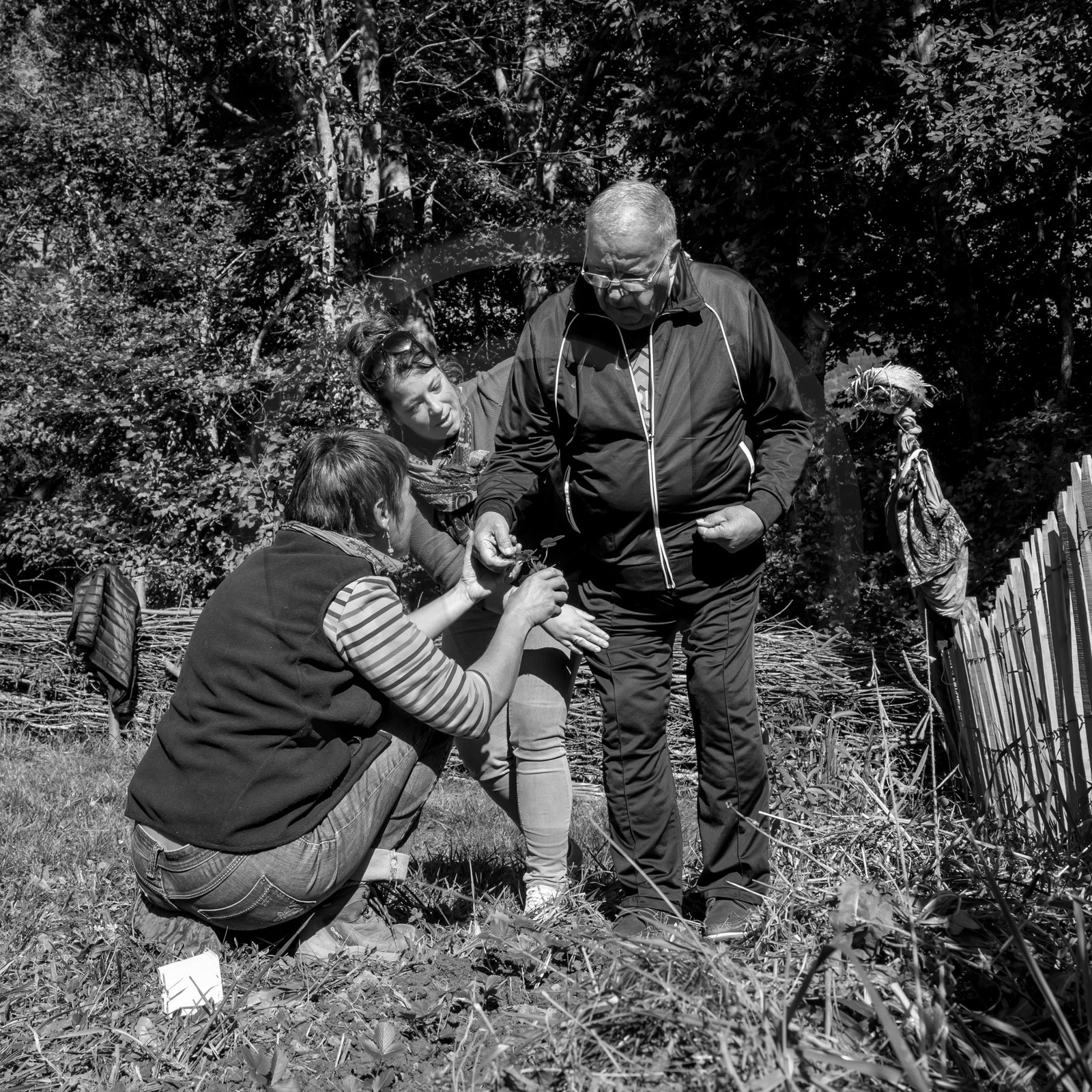 20 septembre 2017 - Jardinage 20 septembre 2017 - Jardinage