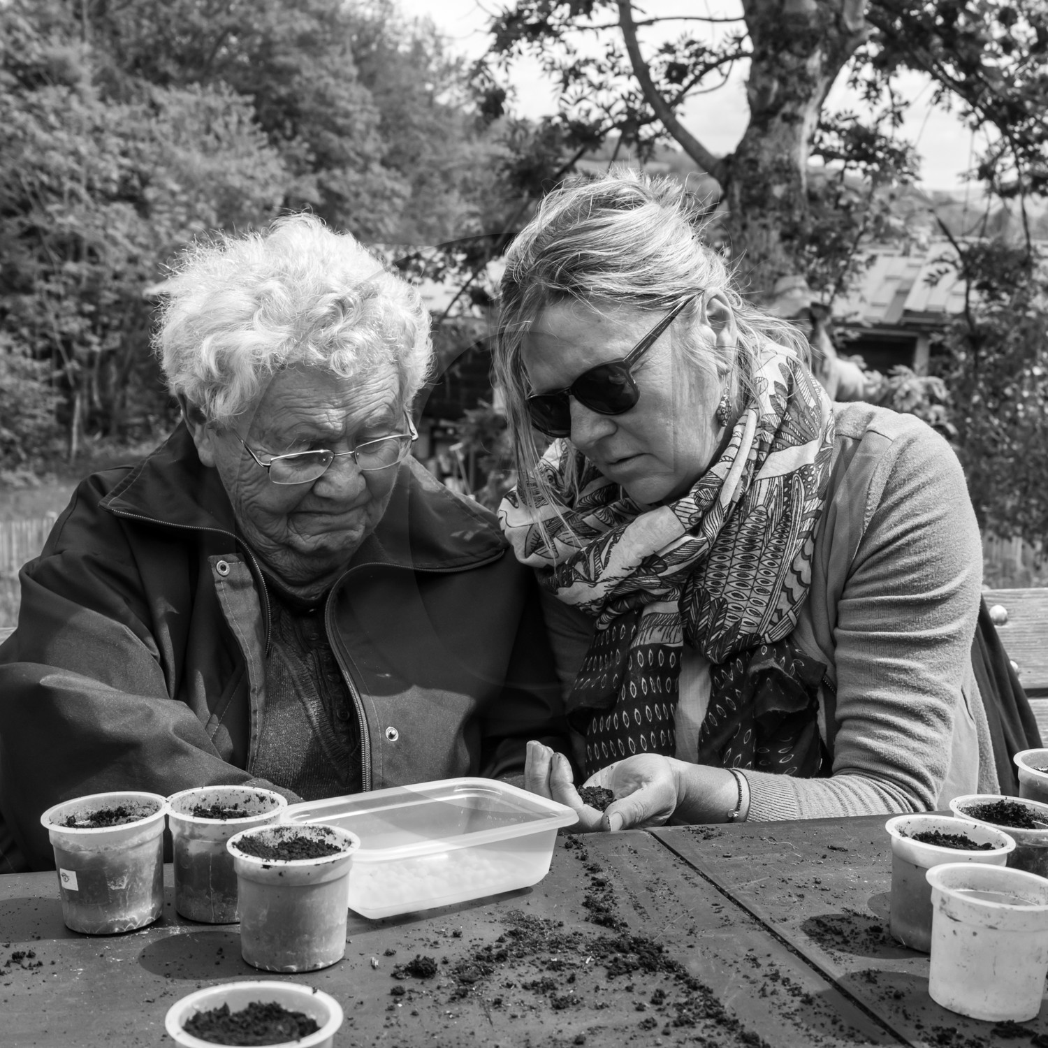 Semis et arrosages Semis et arrosages