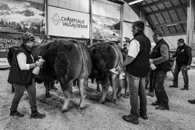 Rencontres paysannes à Saint-Bonnet en Champsaur