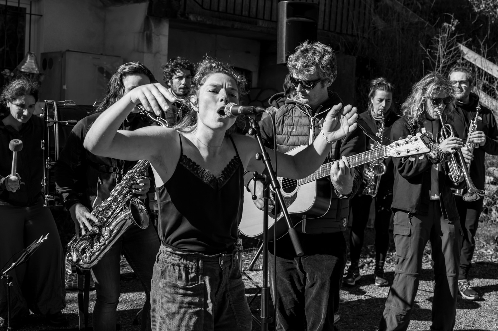 26 octobre 2025 : Les oiseaux de trottoir