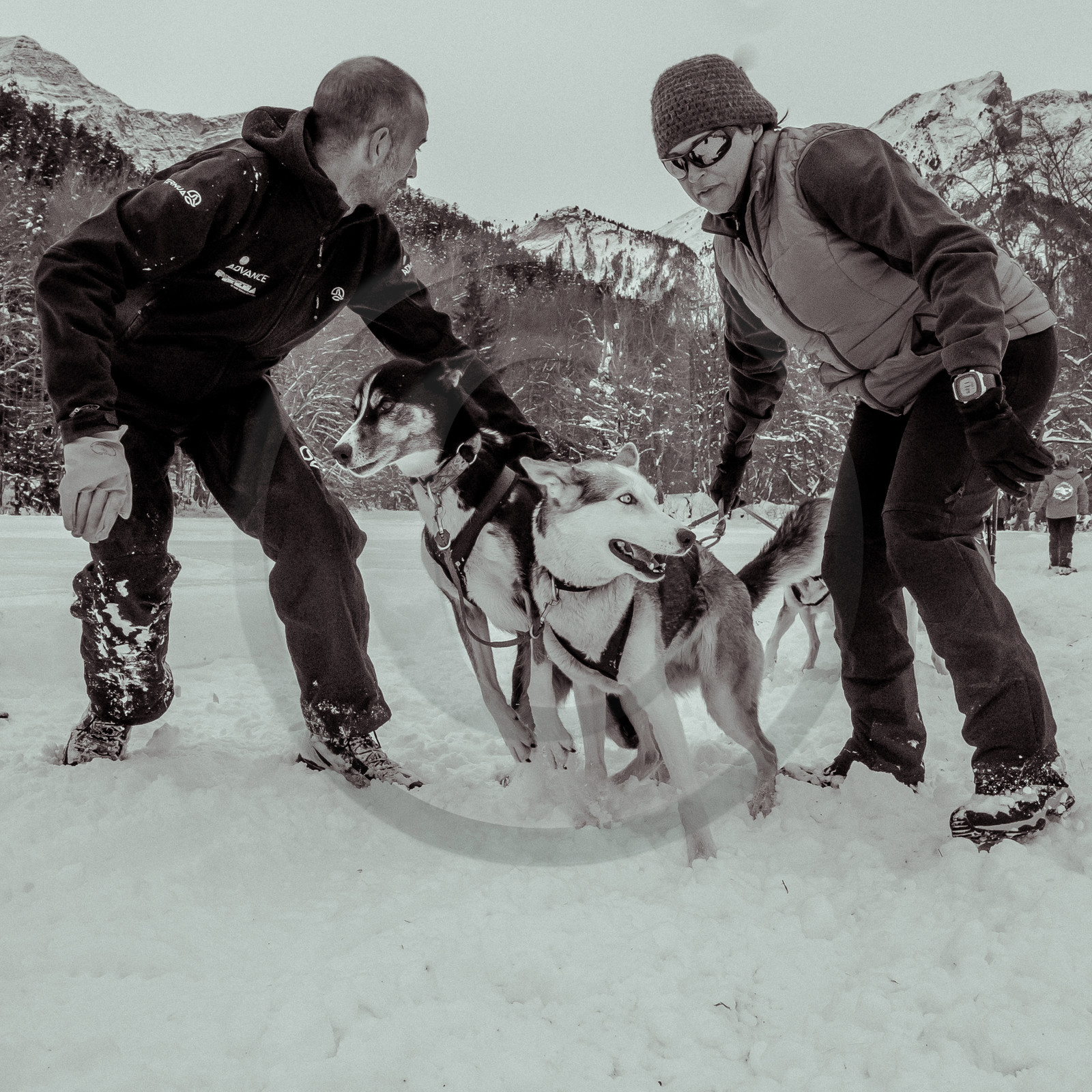La Valgaude Traineau 2015