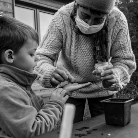 Semis, tournesols et jeux