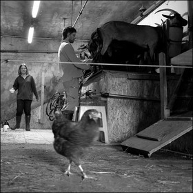 La ferme des Cabrioles