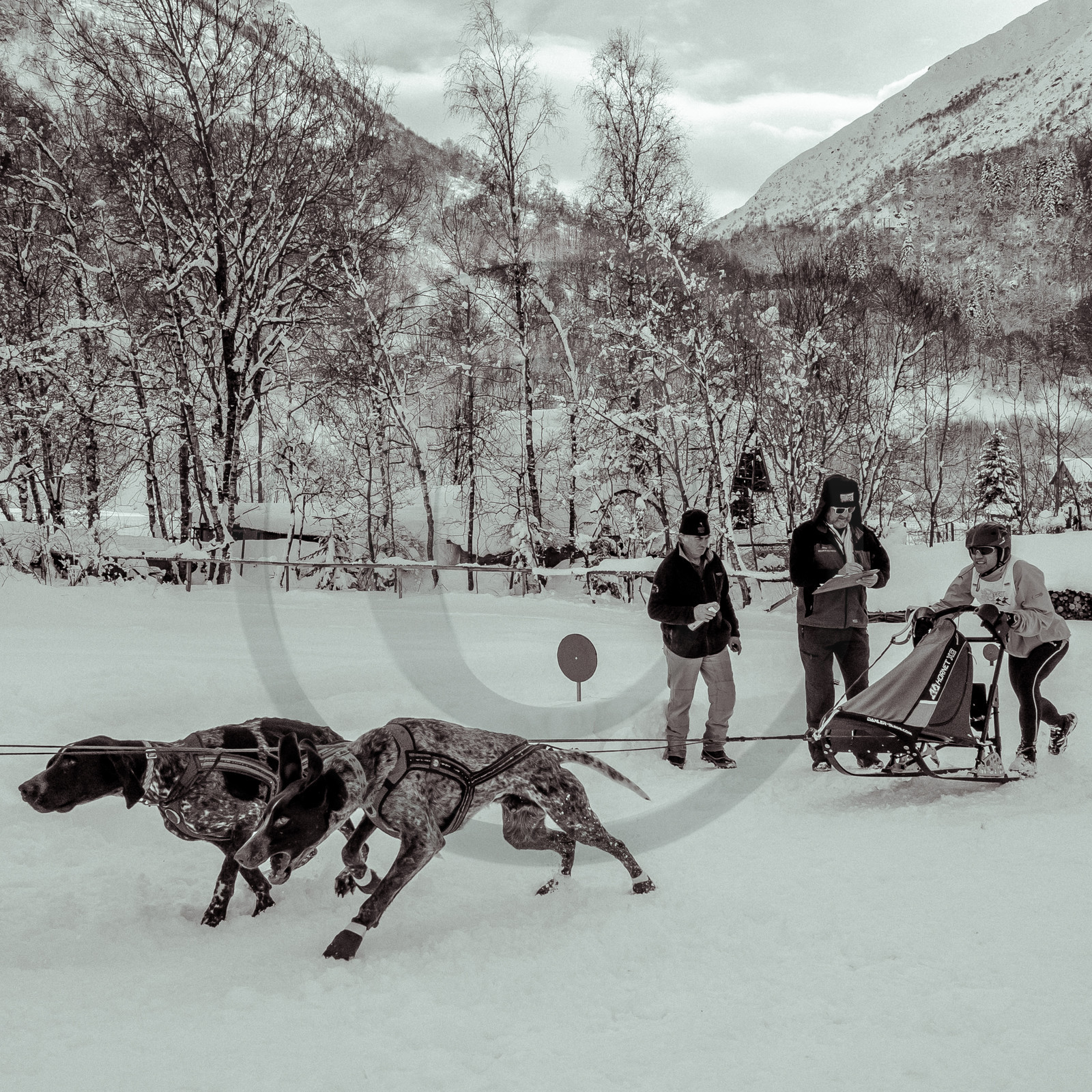 La Valgaude Traineau 2015