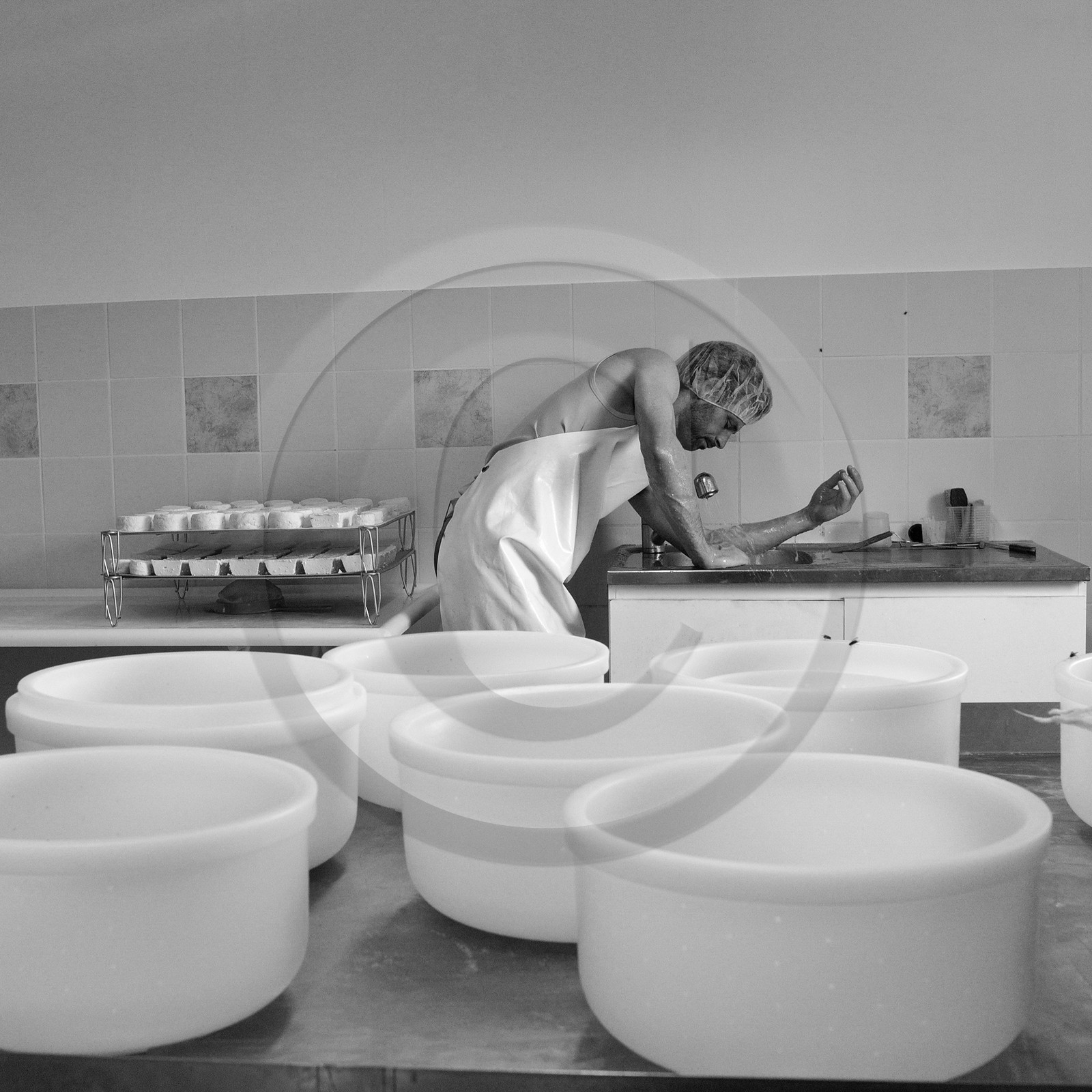 Paul Flambard, fromager