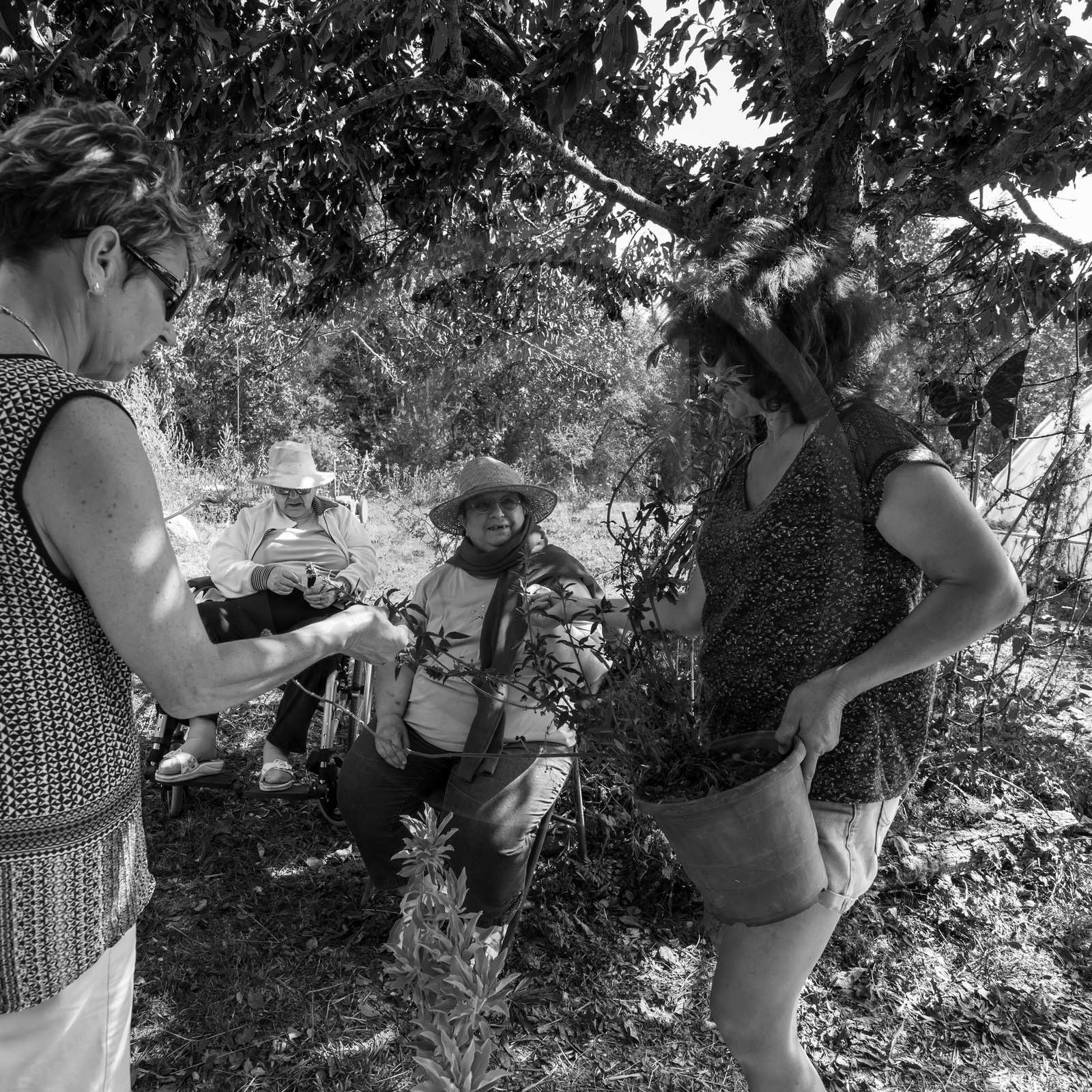 04 septembre 2019 : Visite au jardin des Hautes Terres