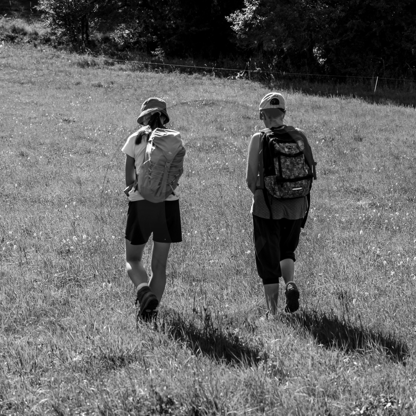 Arpenter le paysage avec Martin de la Soudière