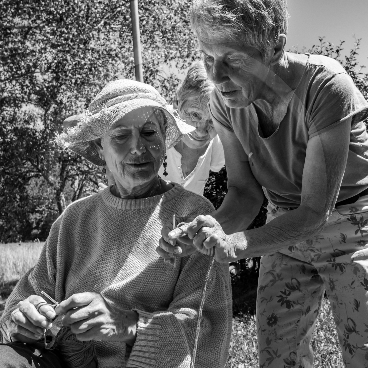Journée des aidants et des aidés