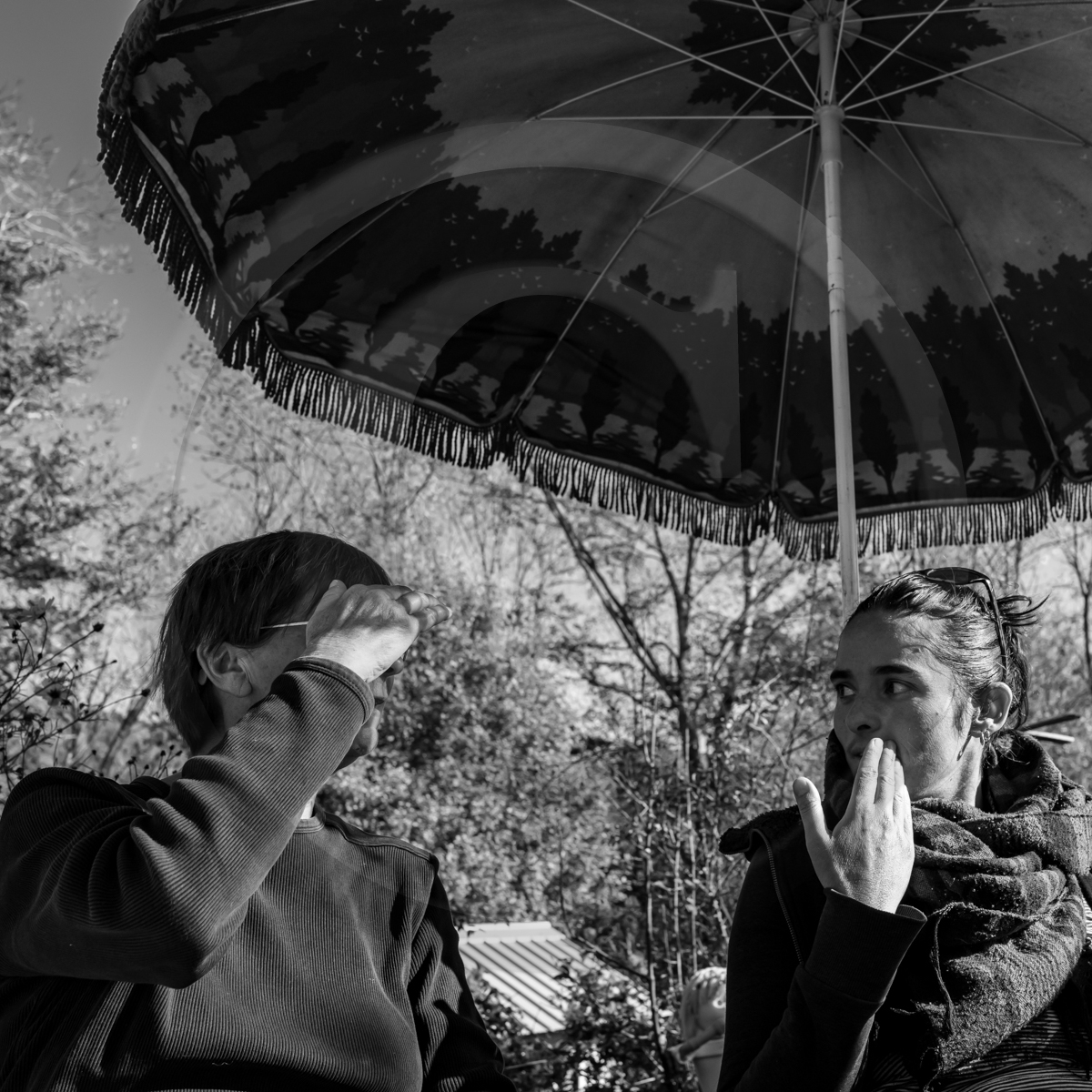 26 octobre 2022 : dernier mercredi de la saison à l'Ouort