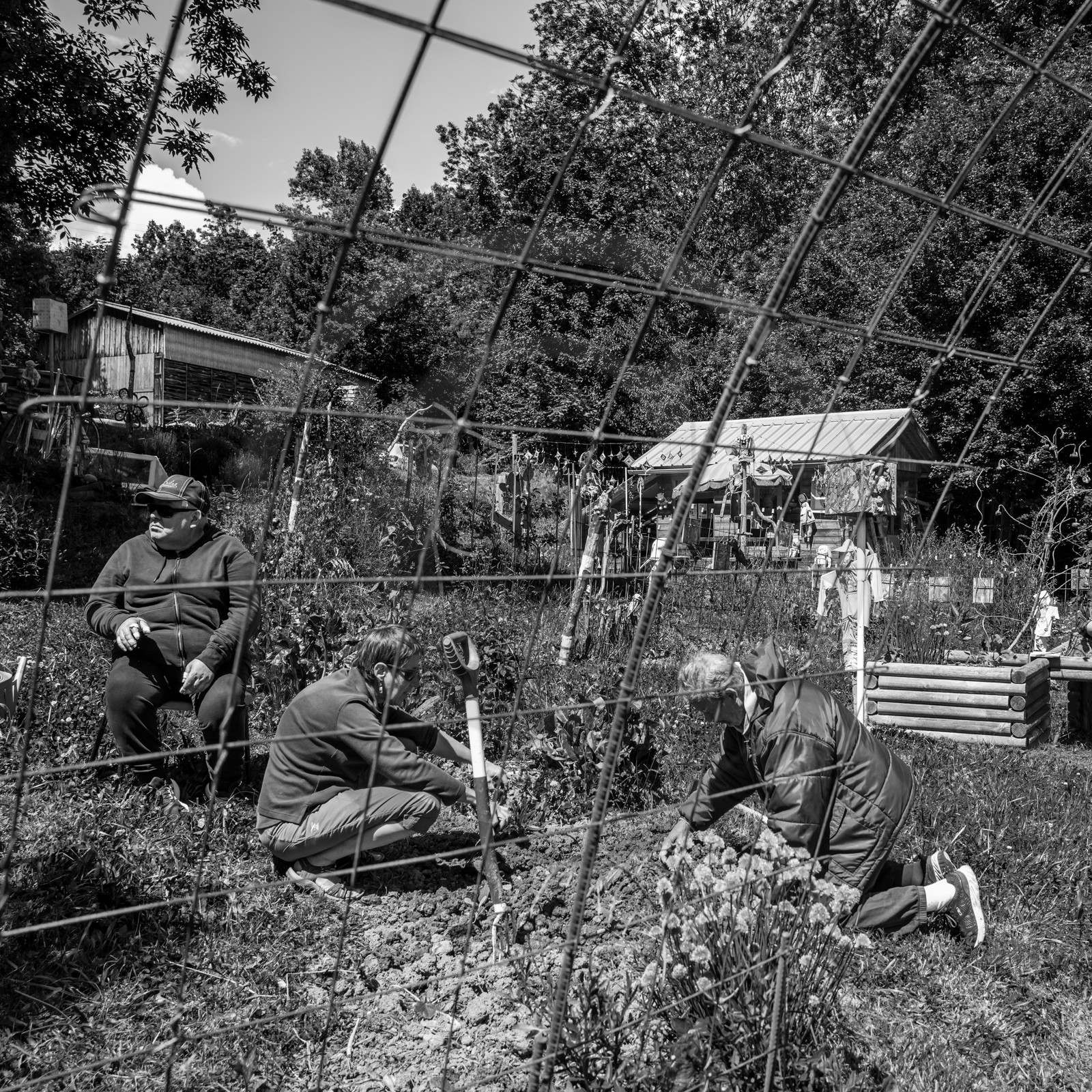 12 juin 2024 : création d'un jeu et jardinage