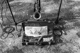 26 octobre 2025 : Les oiseaux de trottoir