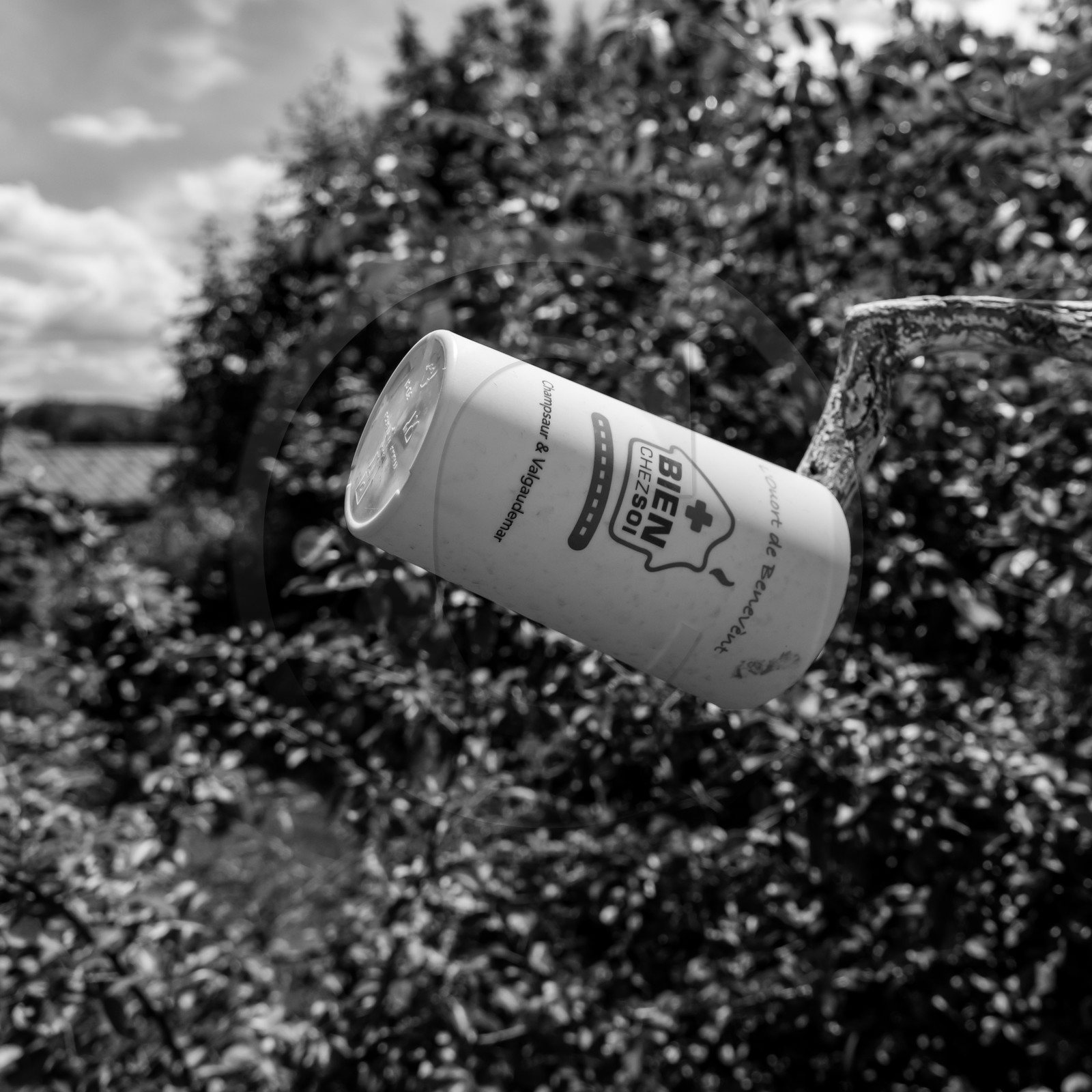 23 juin 2021 : Une après-midi à l'Ouort