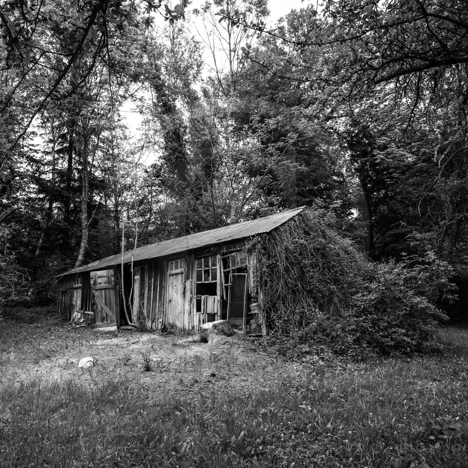 La Filature du Valgaudemar