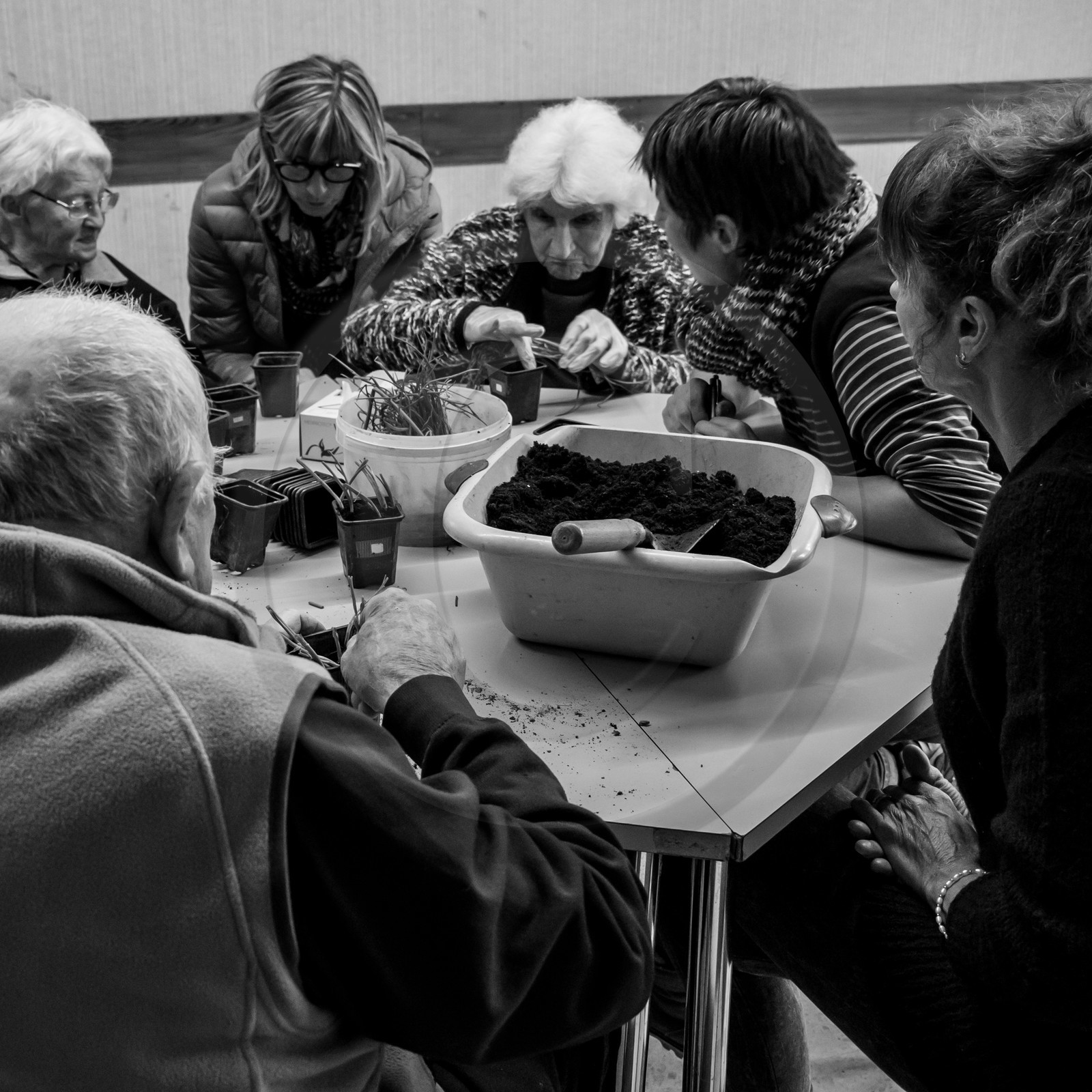 Atelier repiquage de plants de ciboulettes - 05 04 2017