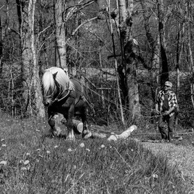 L'Ouort de Bénévent - 17 avril 2017