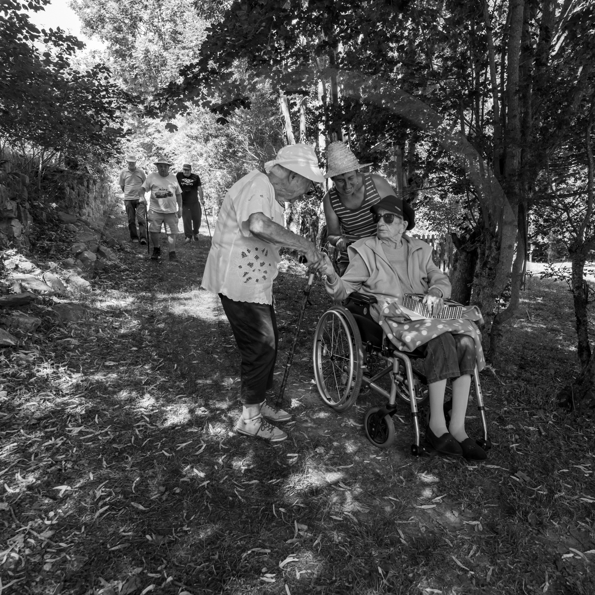 29 juin 2022 : Découverte des plantes sauvages