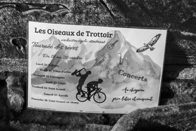 26 octobre 2025 : Les oiseaux de trottoir