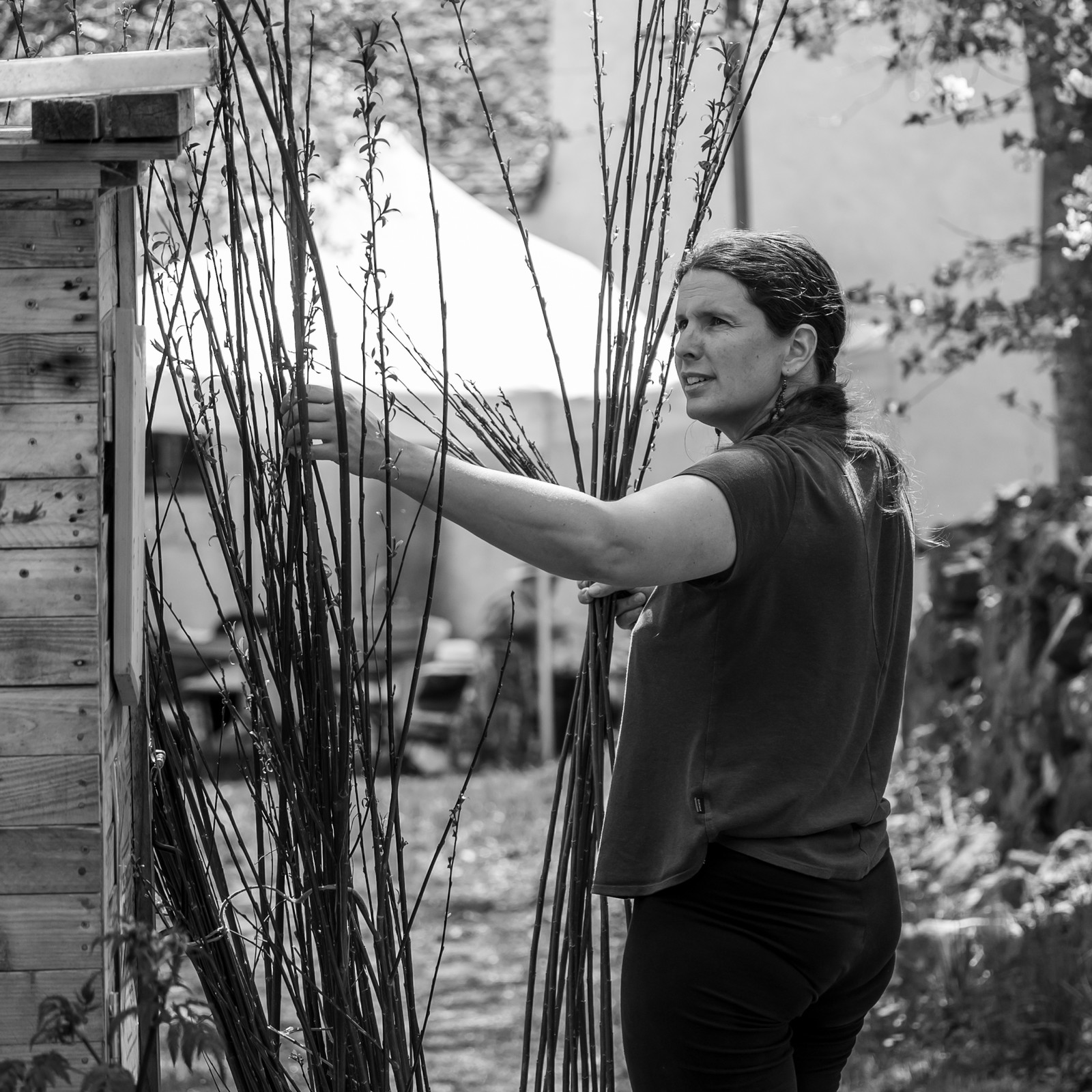 30 avril 2025 : Un oiseau en osier