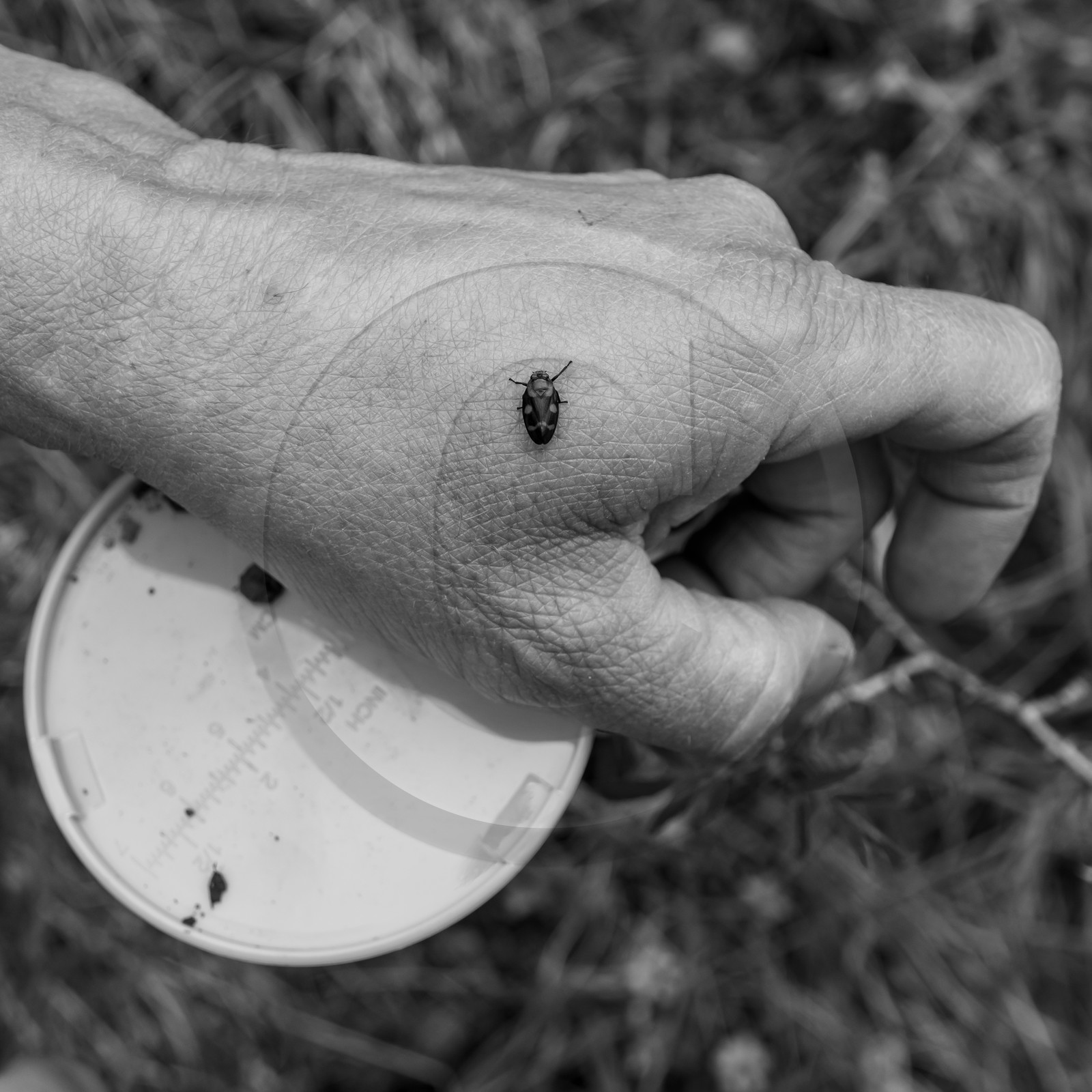 Atelier Buissonnier Atelier Buissonnier
