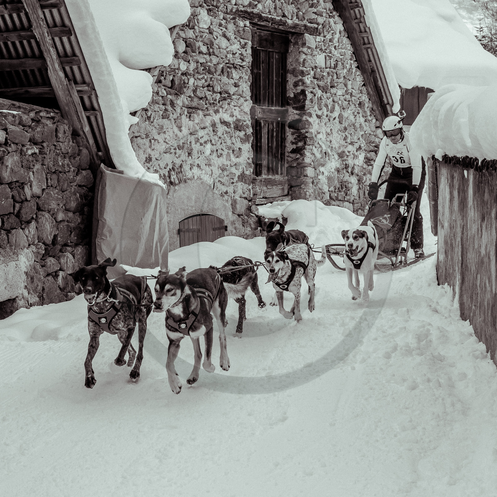 La Valgaude Traineau 2015