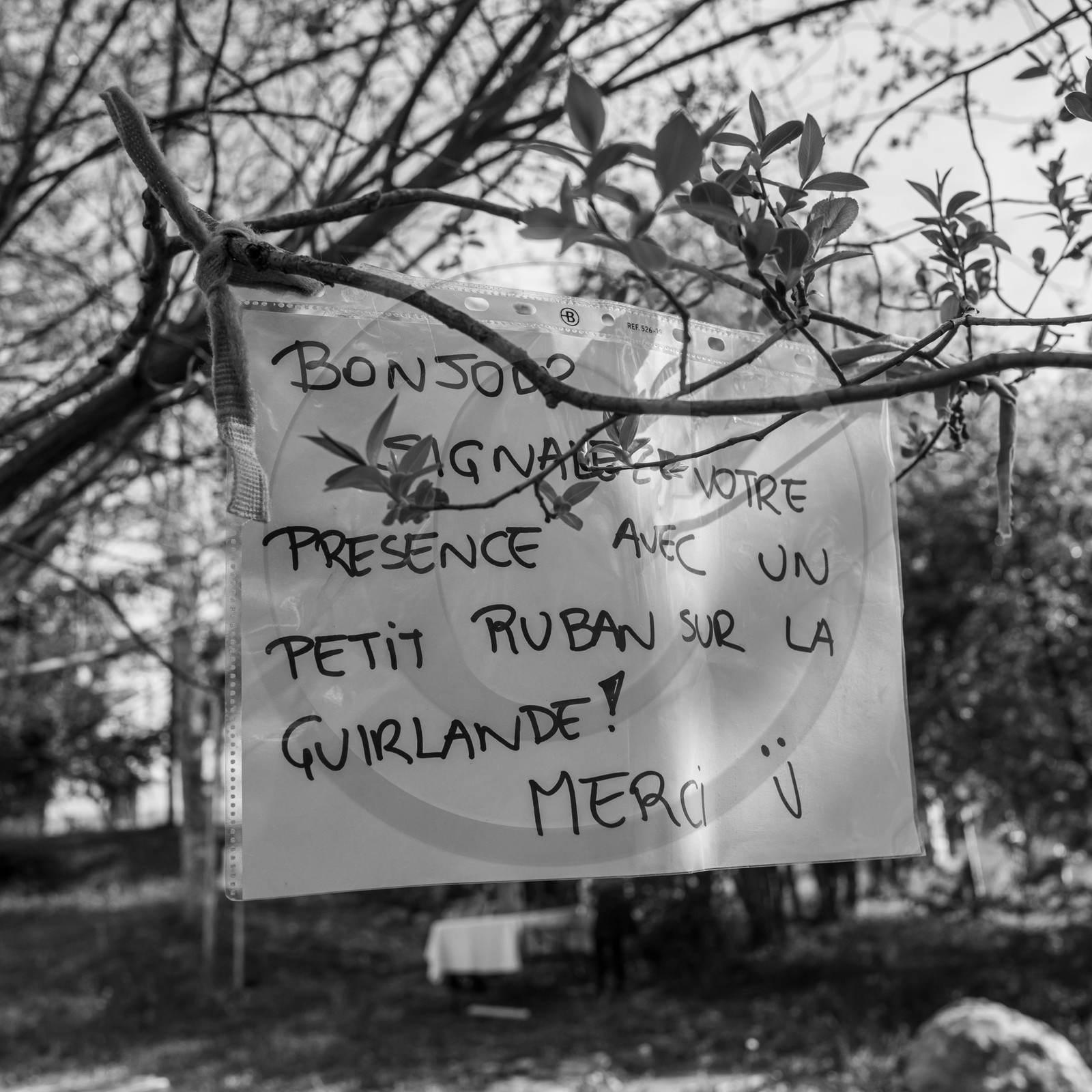 12 mai 2024 : vide-jardin et marché de créateurs