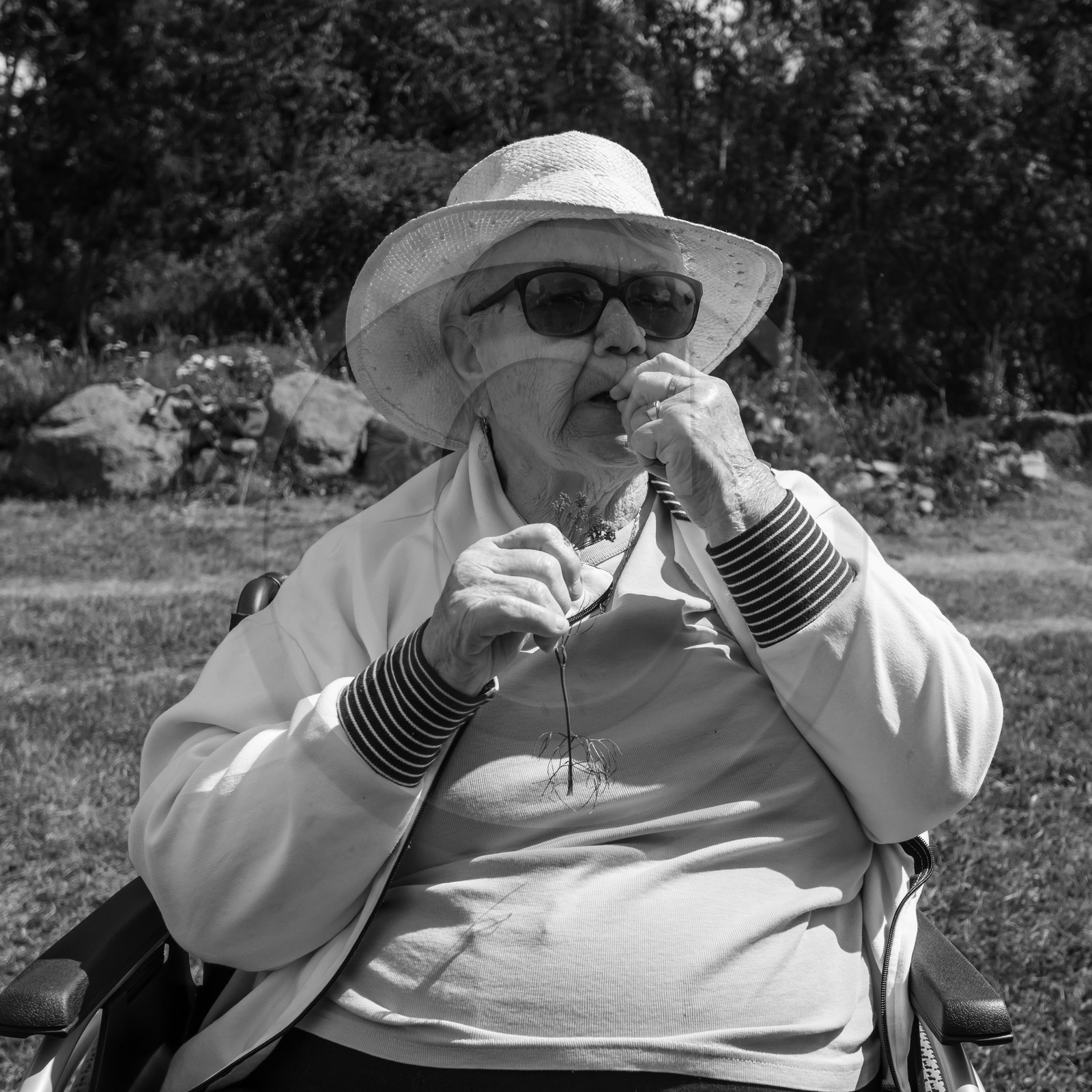 04 septembre 2019 : Visite au jardin des Hautes Terres 04 septembre 2019 : Visite au jardin des Hautes Terres