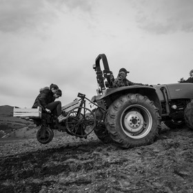 La plantation des pommes de terre