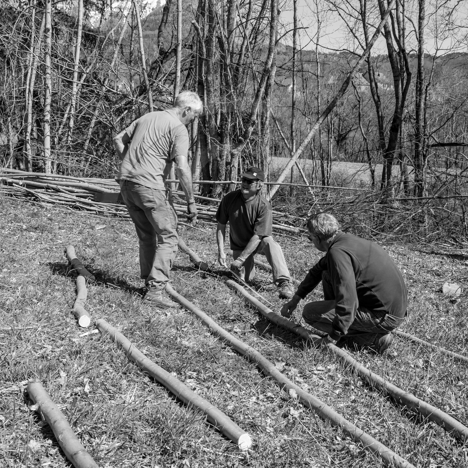 Nettoyage du terrain - Coupe du bois - 29 03 17