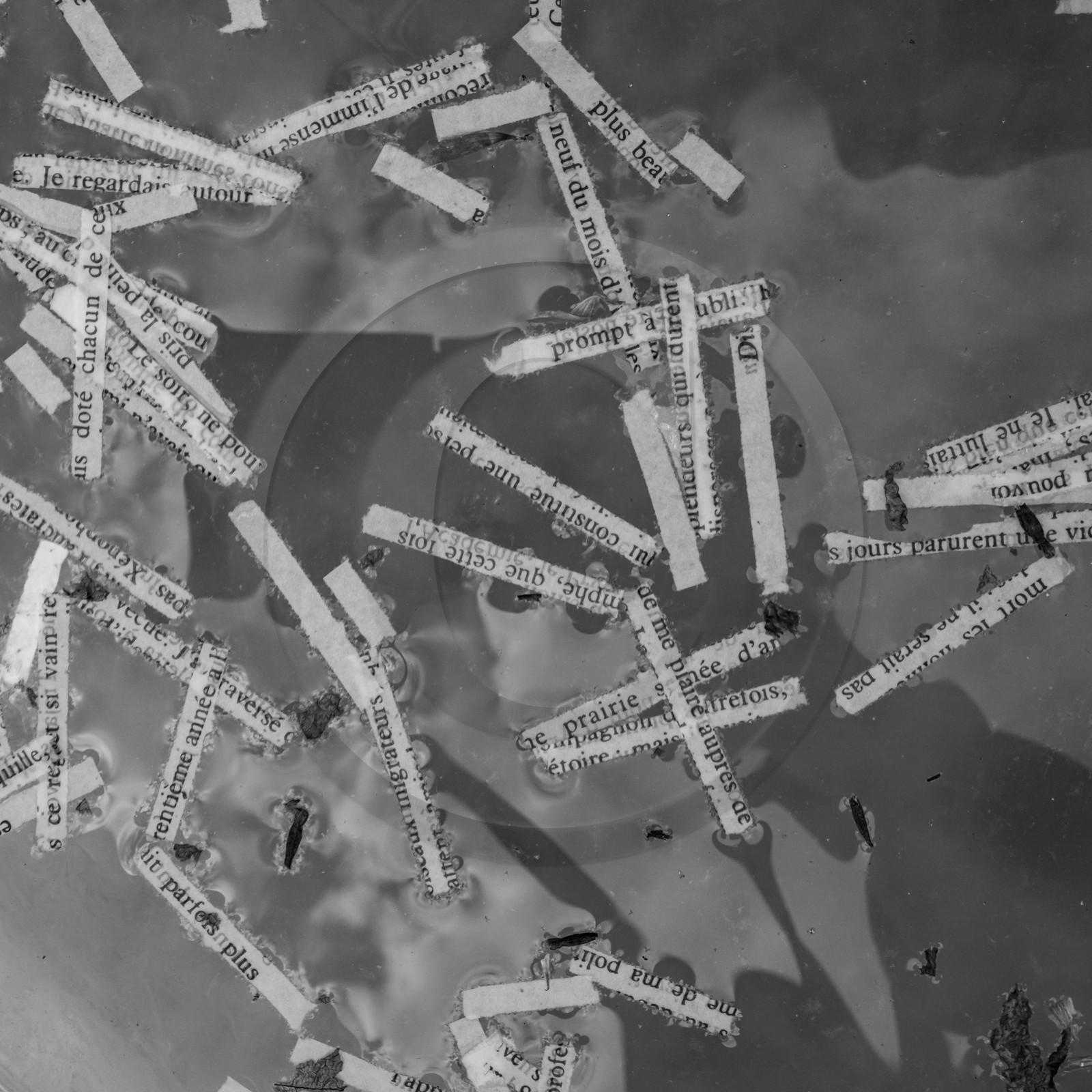 24 mai 2024 : Journée des aidants à l'Ouort 24 mai 2024 : Journée des aidants à l'Ouort