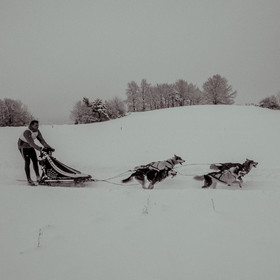 La Valgaude Traineau 2015