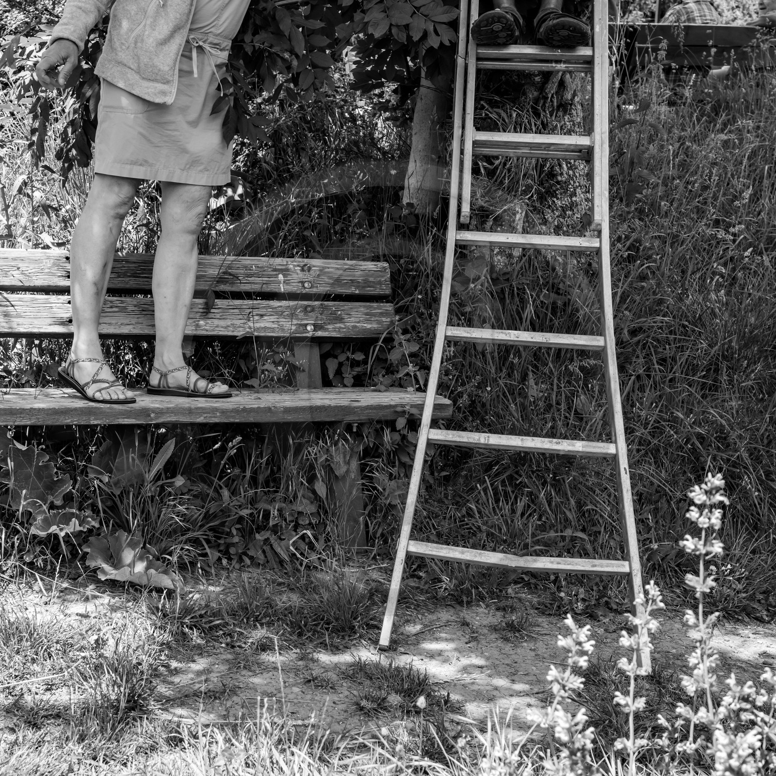 23 juin 2021 : Une après-midi à l'Ouort