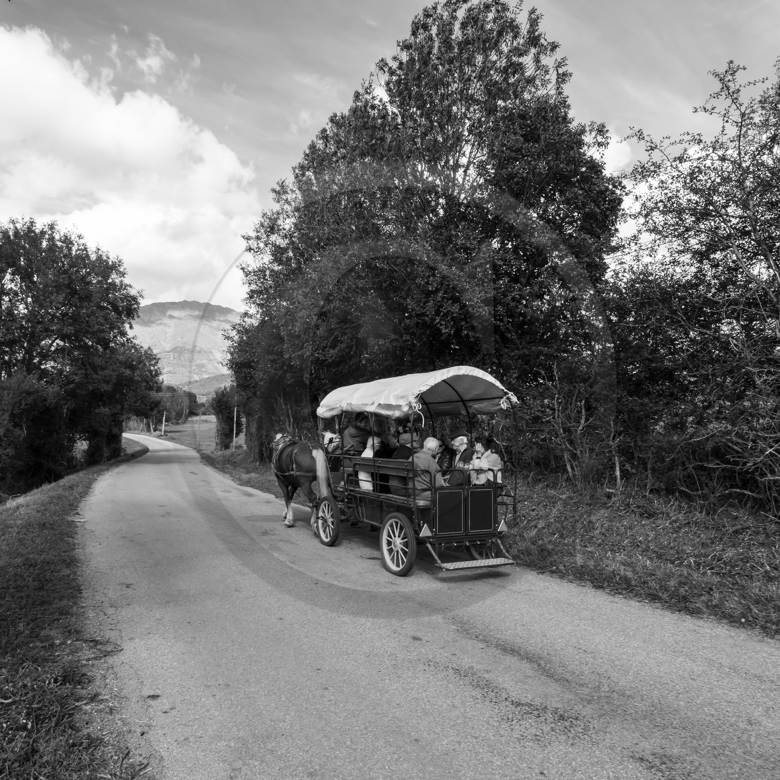 25 septembre 2019 : Promenade en calèche 25 septembre 2019 : Promenade en calèche