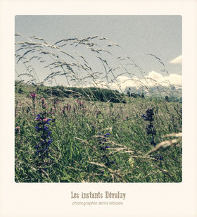 Les Instants Dévoluy