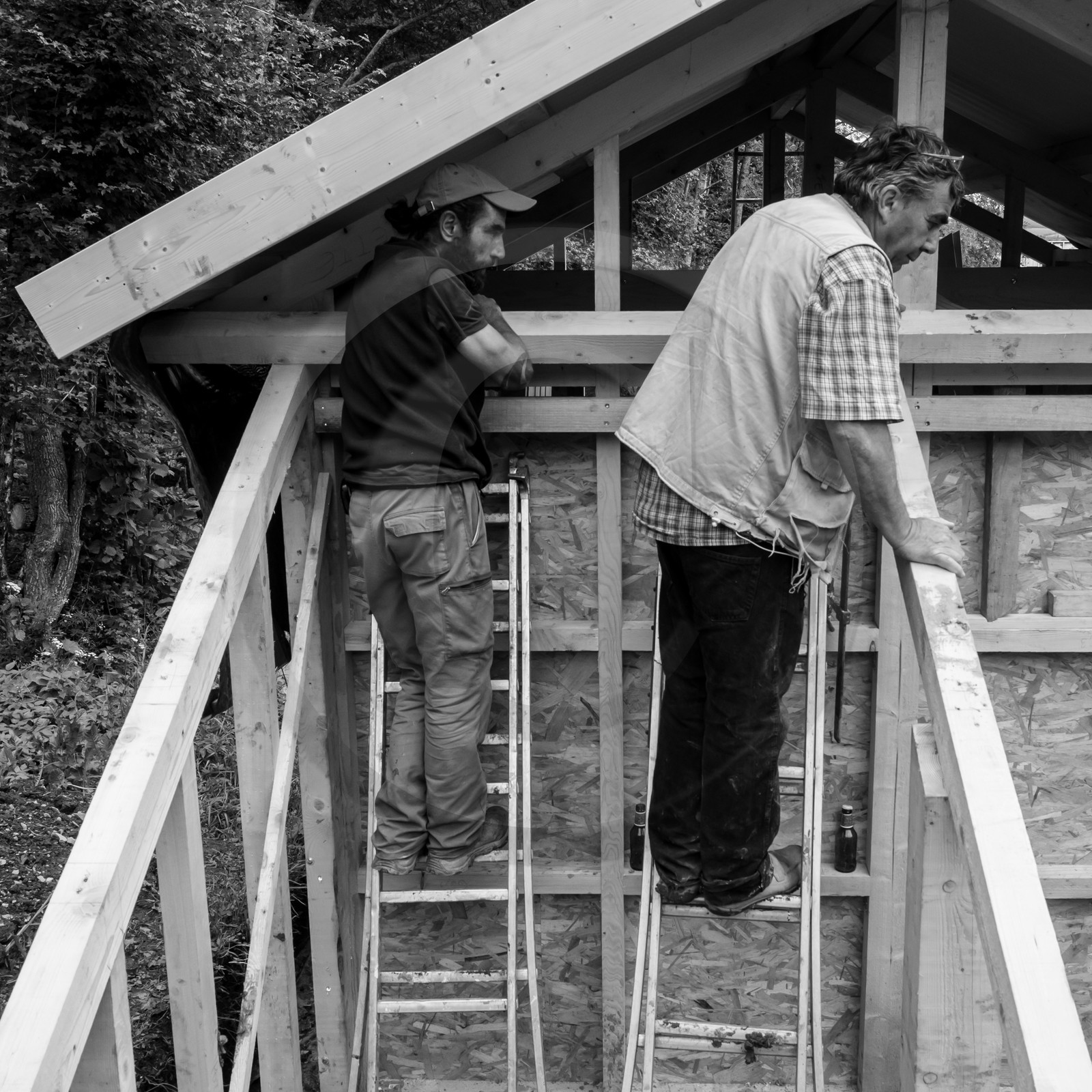 Construction d'une cabane