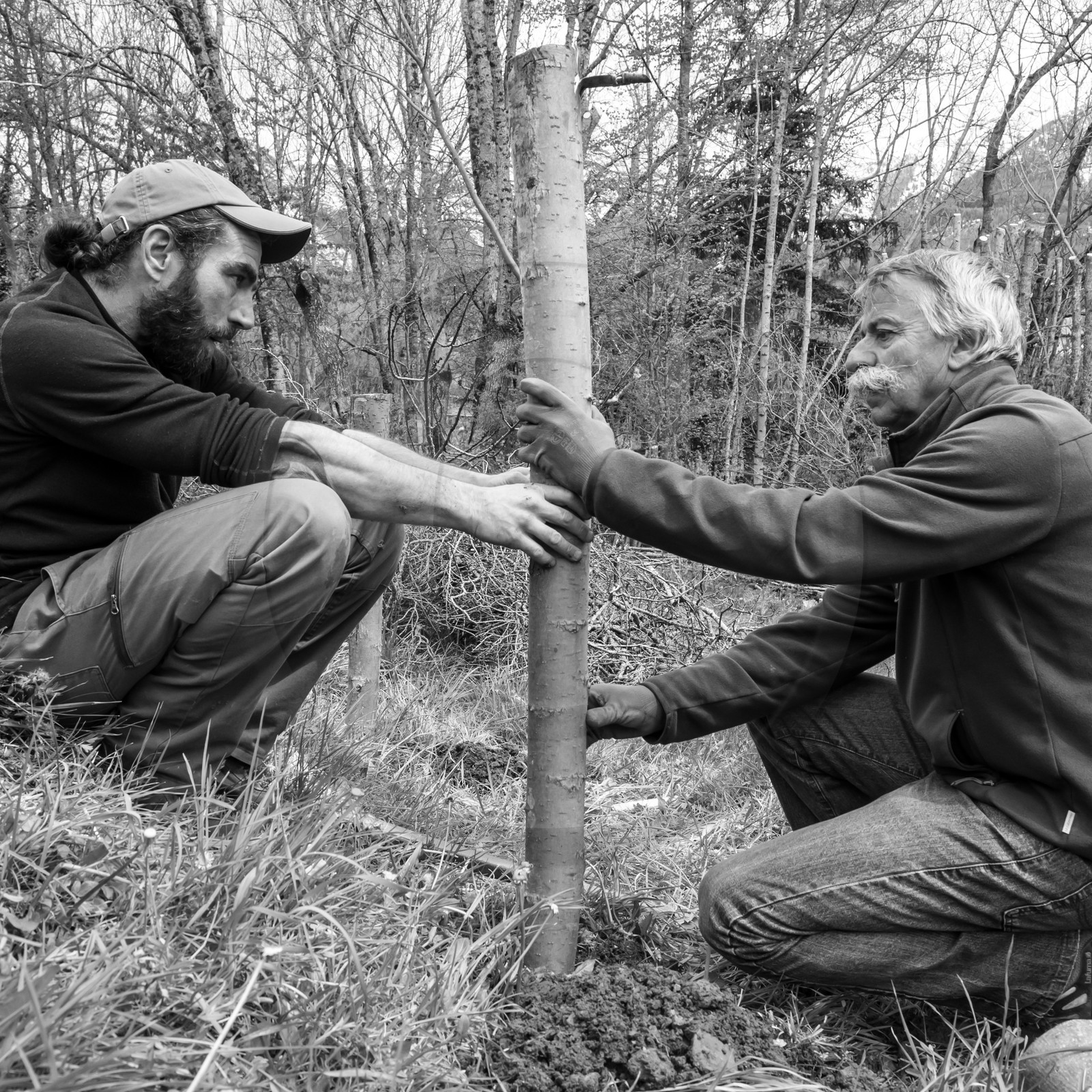 03 mai 2017 - Bac, semis et plantations