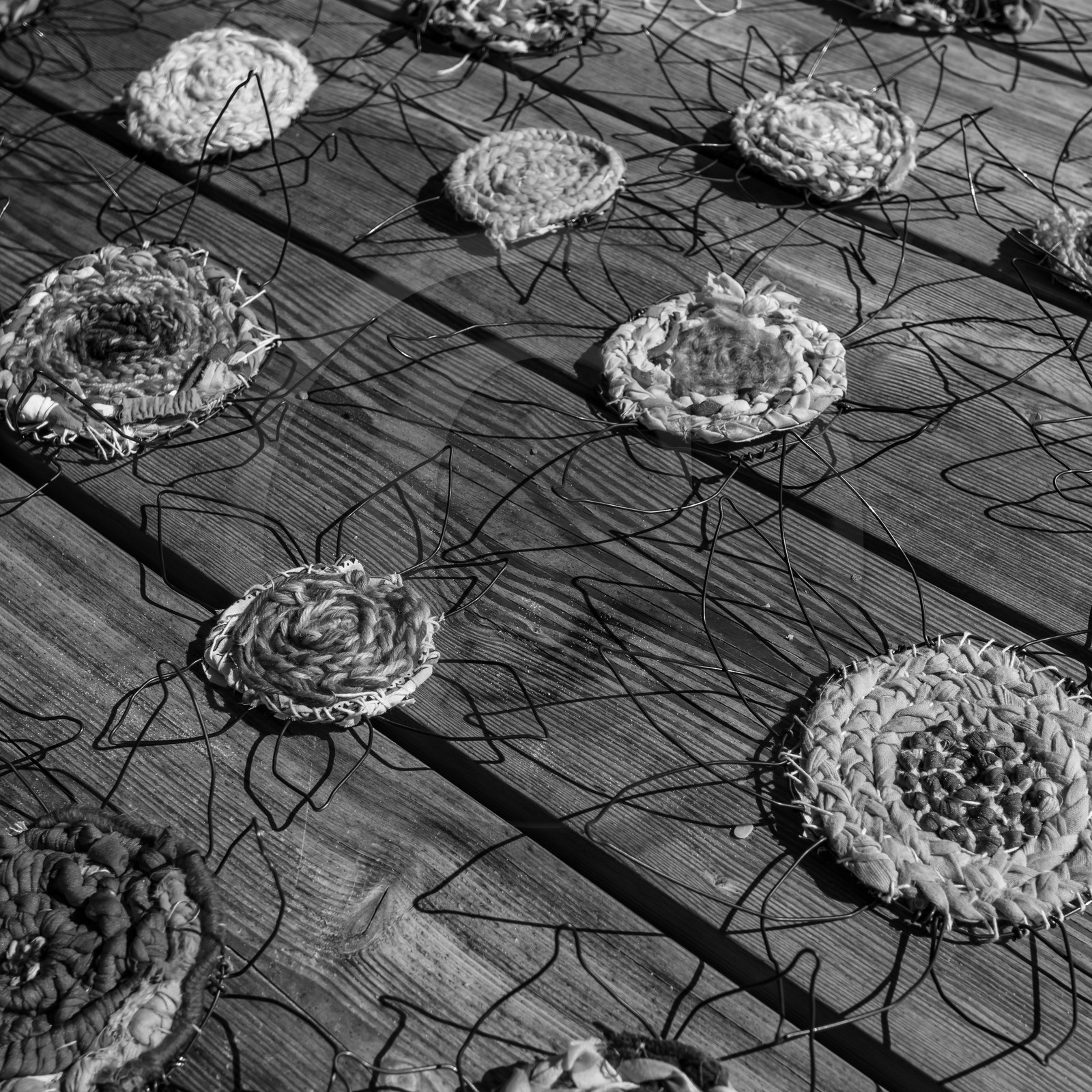 Activités au jardin