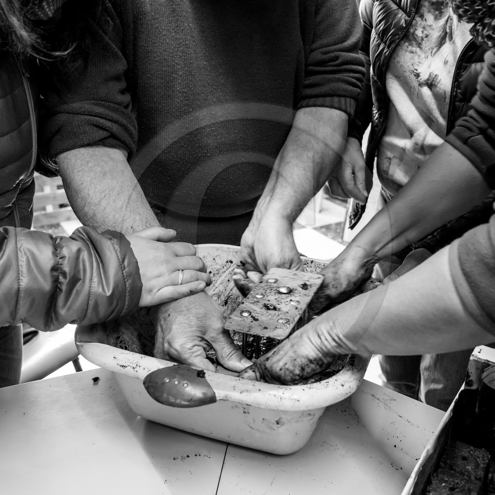 Atelier repiquage et semis - 26 04 2017